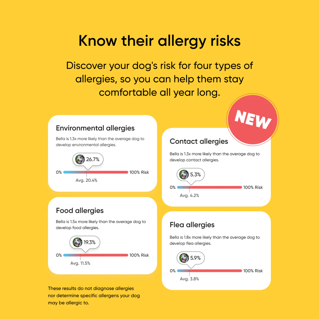 Embark Dog DNA Test